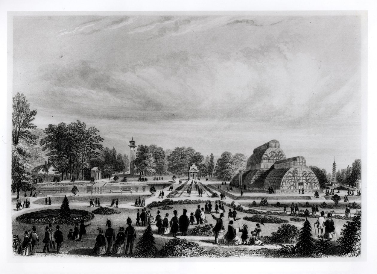 Besøkende som ser på Palm House på Kew Palace, ca. 1860-tallet av English School