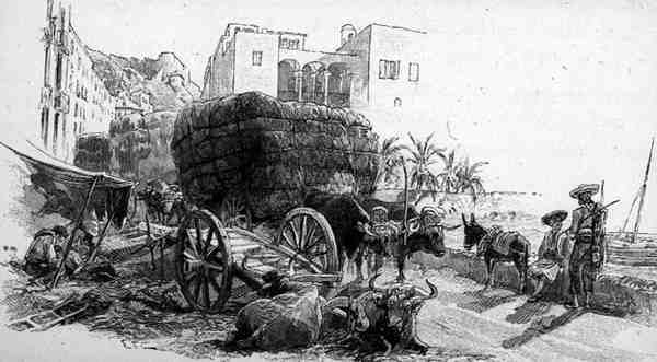 Vogner med Esparto Grass, Almeria, Spania, fra 