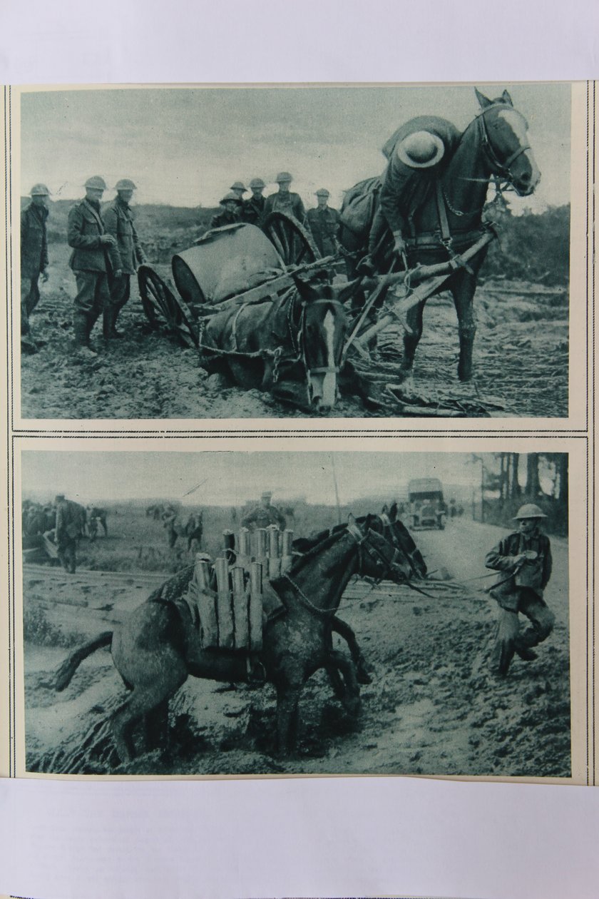 Krigshester som synker i gjørmen, Nord-Frankrike, august 1917 av English School
