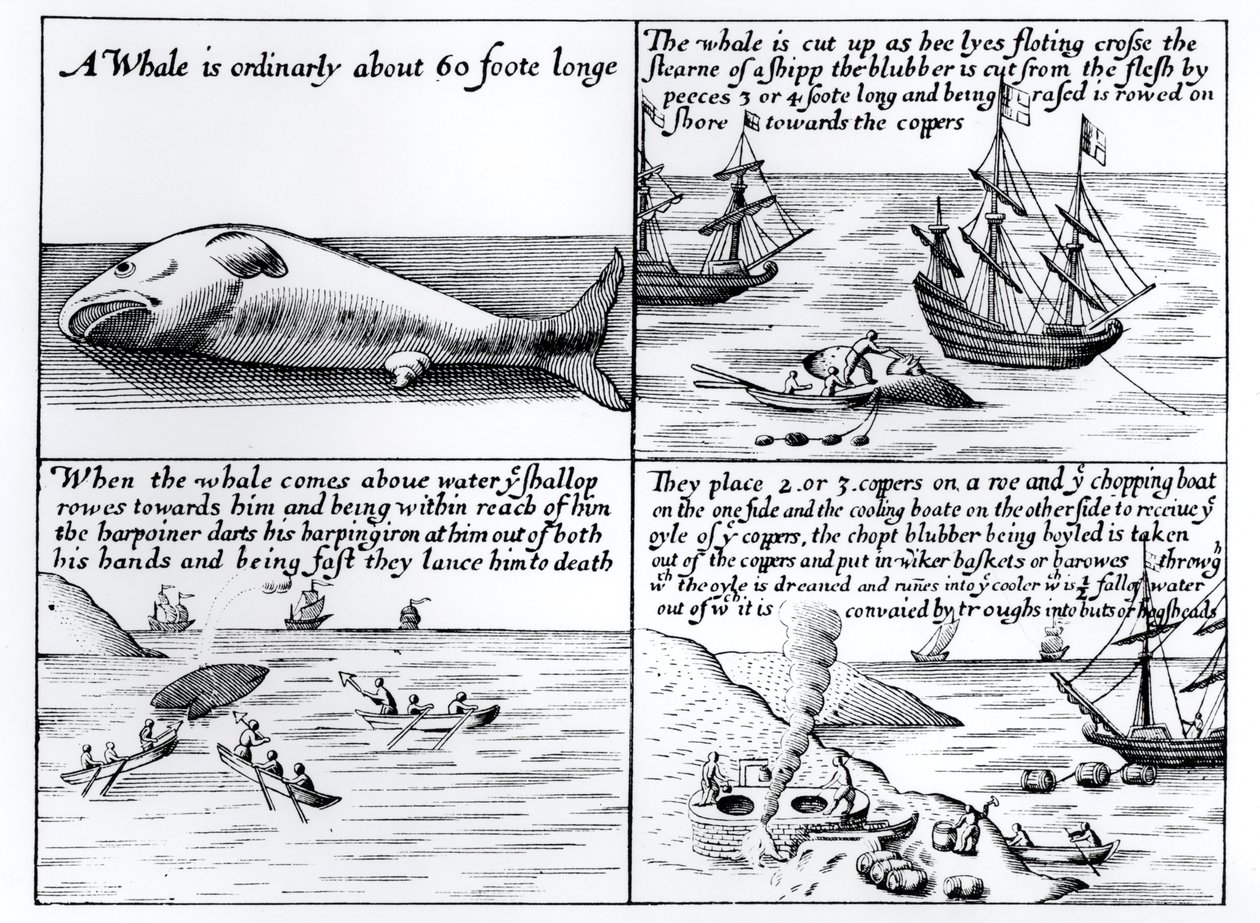 Hvalfangst ved Spitzbergen i 1611 av English School