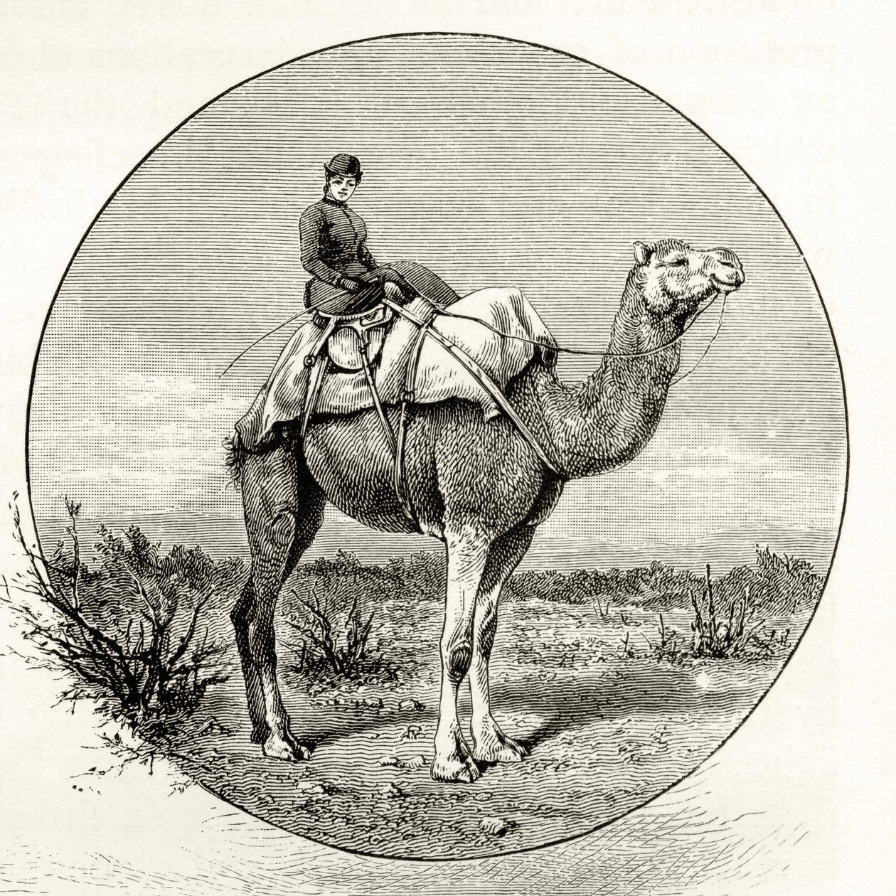 Woman on a Camel in Australia, ca. 1880, fra 
