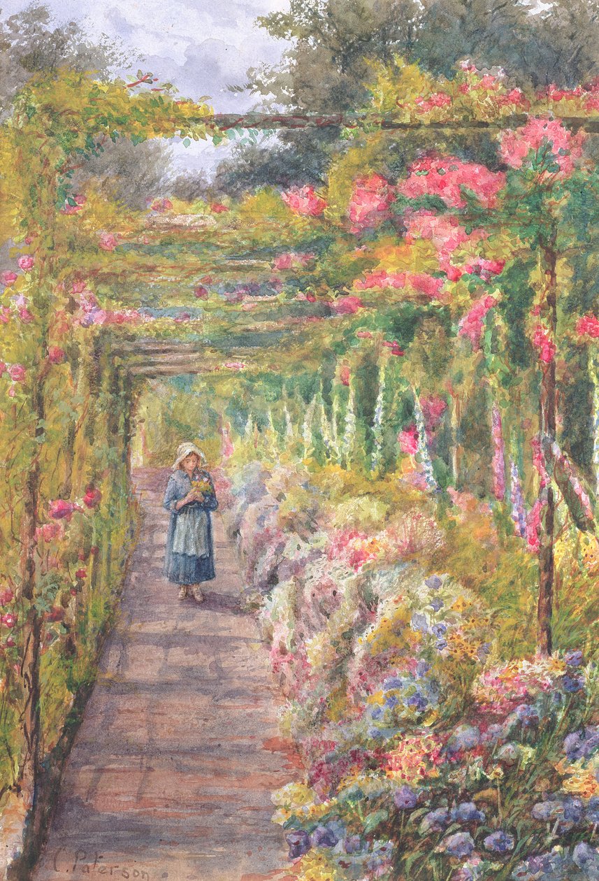 Ung jente som går under en rosepergola (wc på papir) av English School