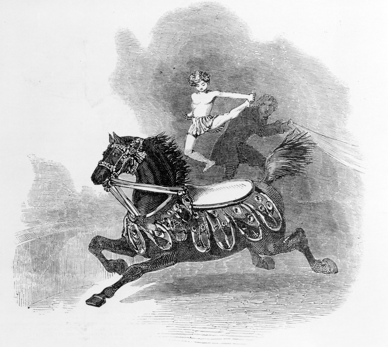 Young Hernandez, ved Astley