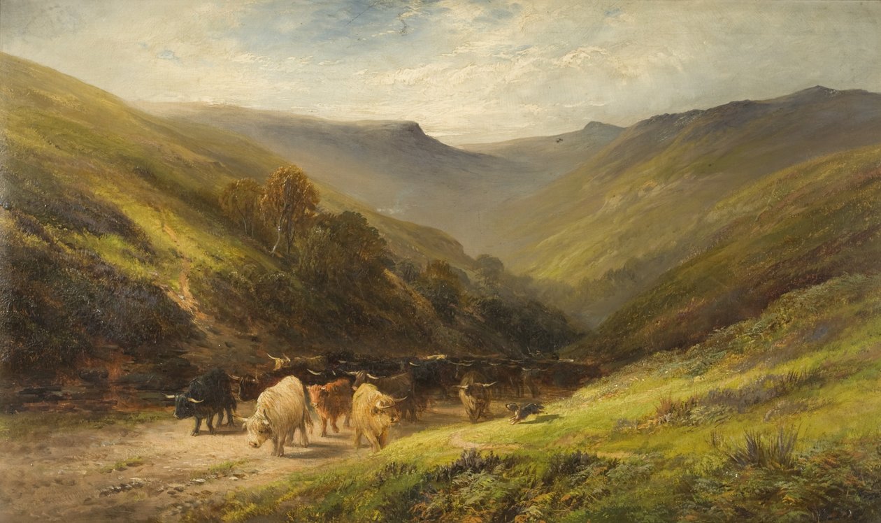 Highland Cattle av English School English School