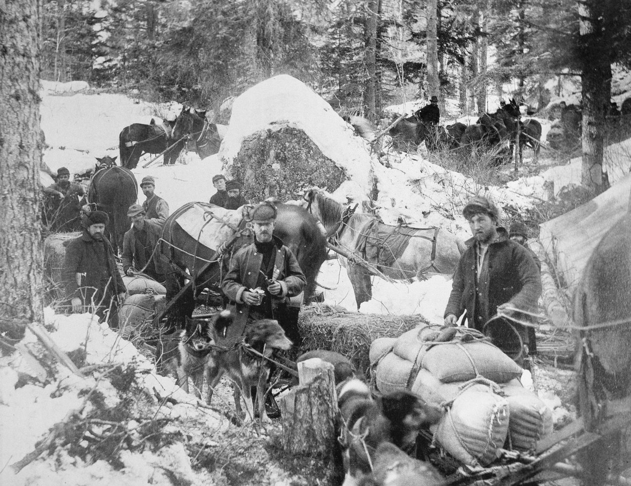 Prospektører som stiger opp Porcupine Hill på Skagway Trail, Alaska, under Klondike Gold Rush (1897-98) 1898 (s/hvitt foto) av Eric A. Hegg