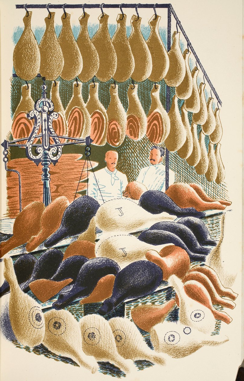 Hams, illustrasjon fra 