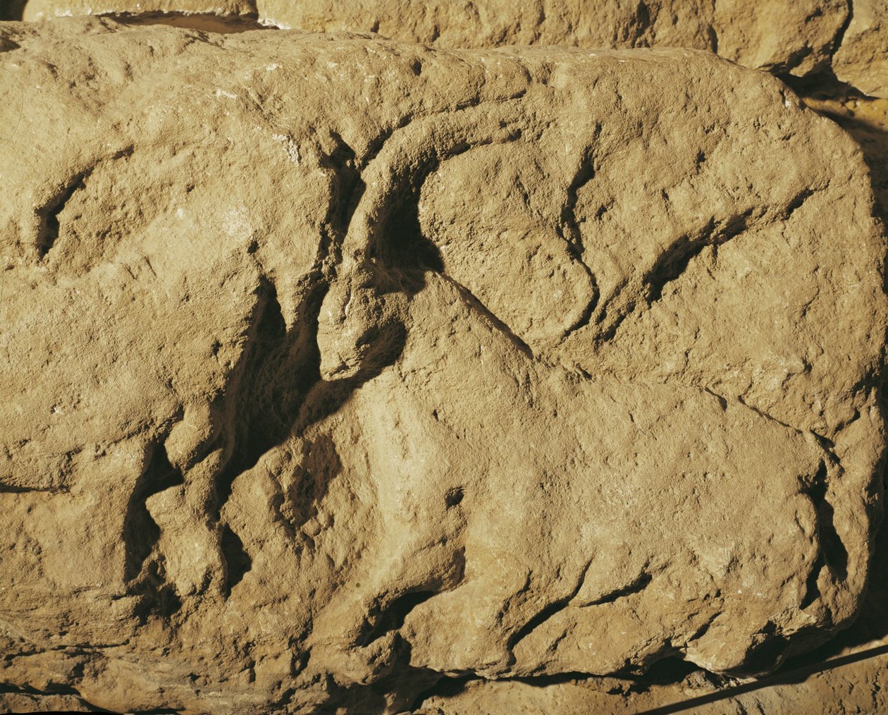 Kamprammer (steinrelieff) av Erich Lessing