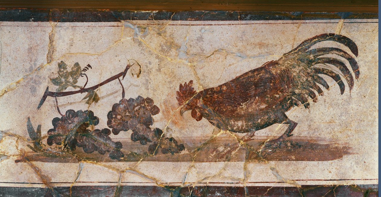 Hane og druer, Herculaneum, Italia (freske) av Erich Lessing