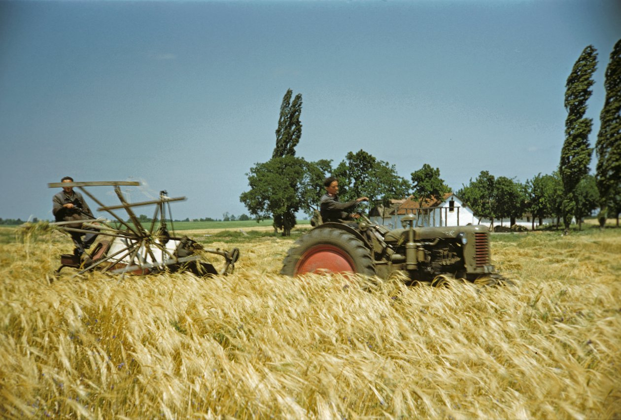  av Erich Lessing