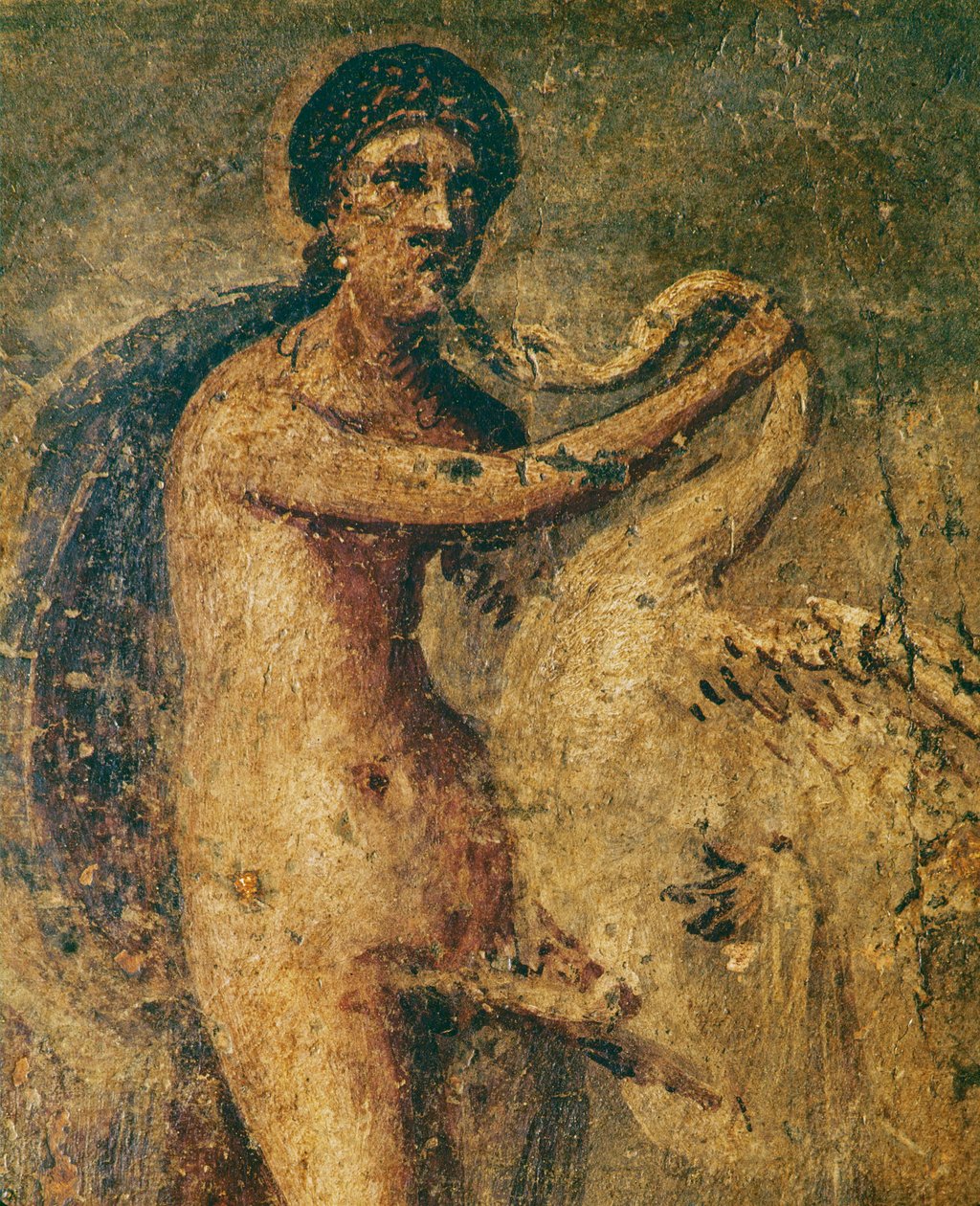 Leda og svanen av Erich Lessing