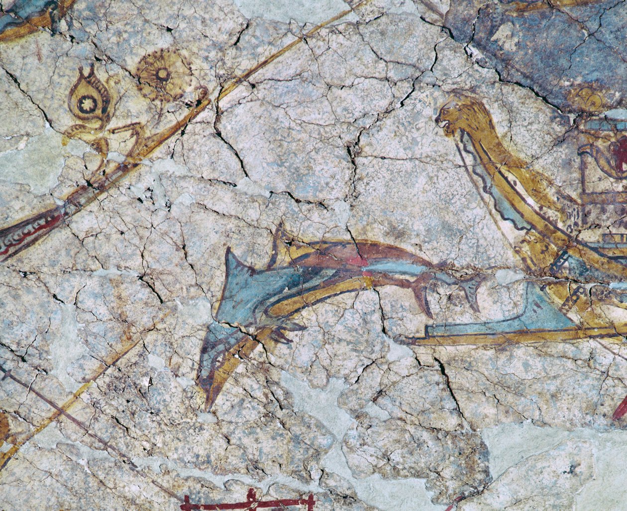 Skipets baug og delfin av Erich Lessing