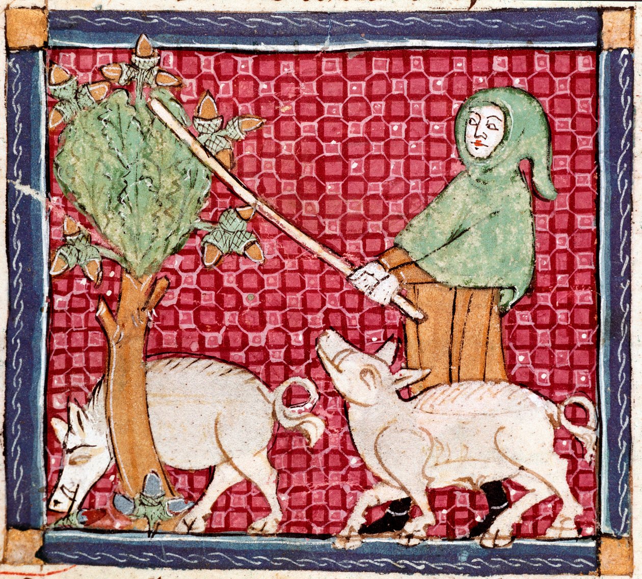 September: griser spiser eikenøtter. Miniatyr hentet fra "Breviaire d
