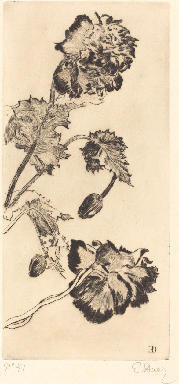 Blomster (Fleurs) av Ernest Ange Duez
