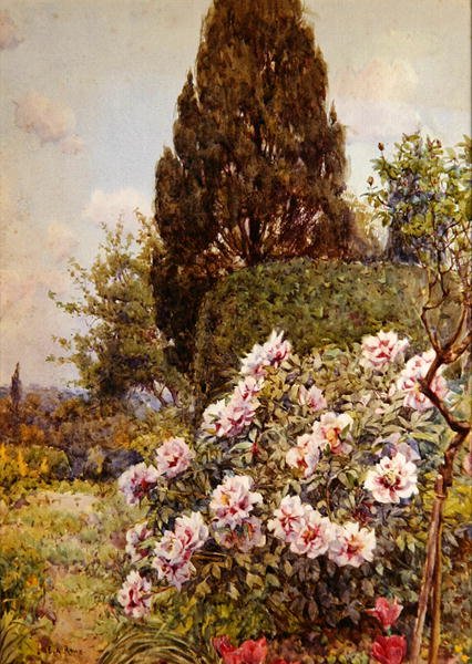 Peonies, Coddington, nær Ledbury (blyant og akvarell på papir) av Ernest Arthur Rowe