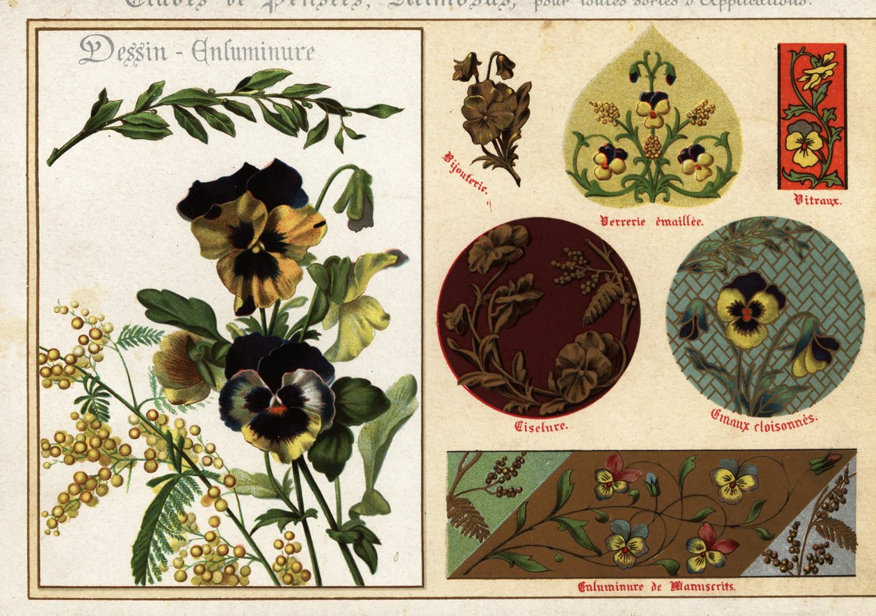 Bilder av stemorsblomster og mimosa fra manuskripter og deres applikasjon av Ernest Guillot