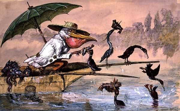 Skarv som presenterer fisk for en pelikan i et skudd under en paraply fra "The Dream of the Fisherman" (penn og blekk og akvarell) av Ernest Henry Griset