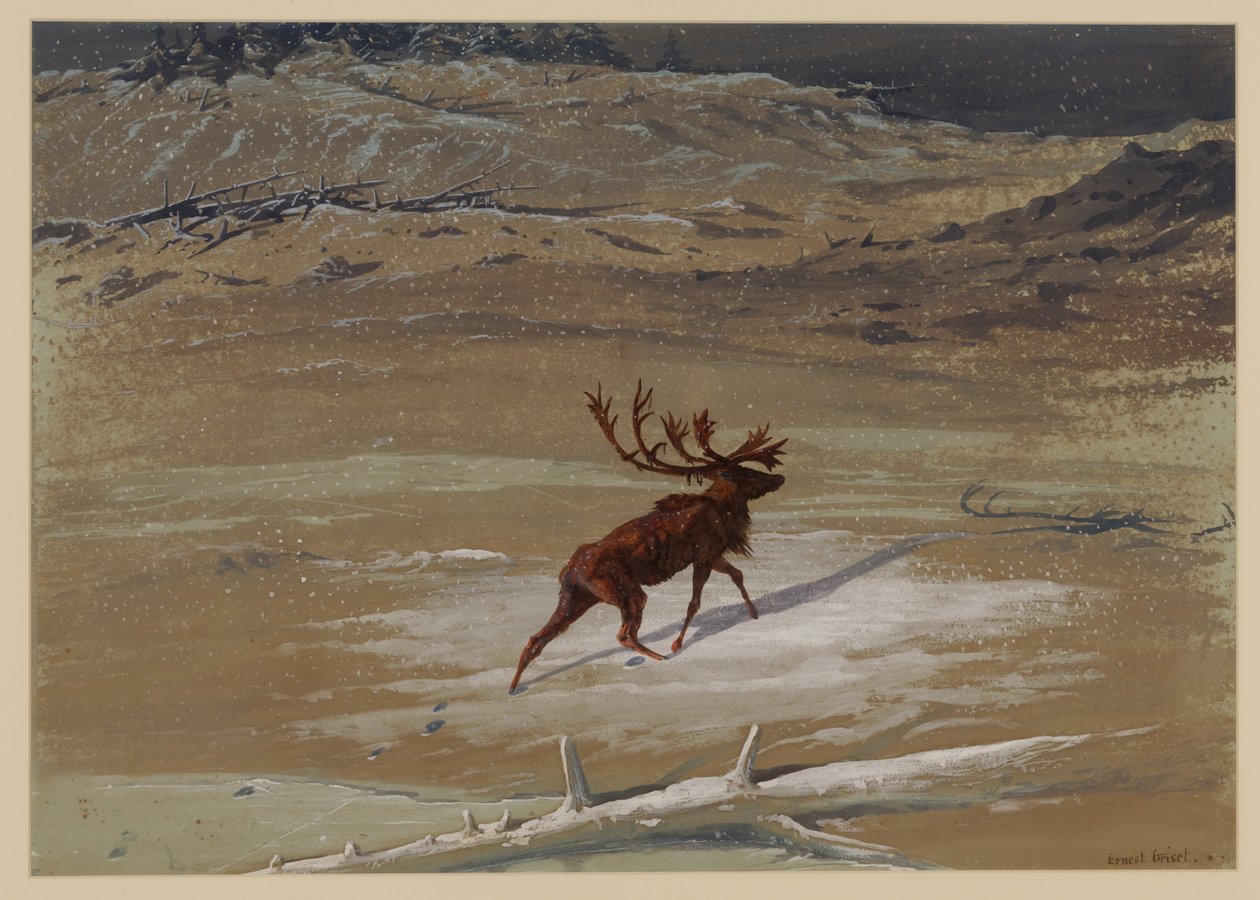 Stag, 1871 av Ernest Henry Griset