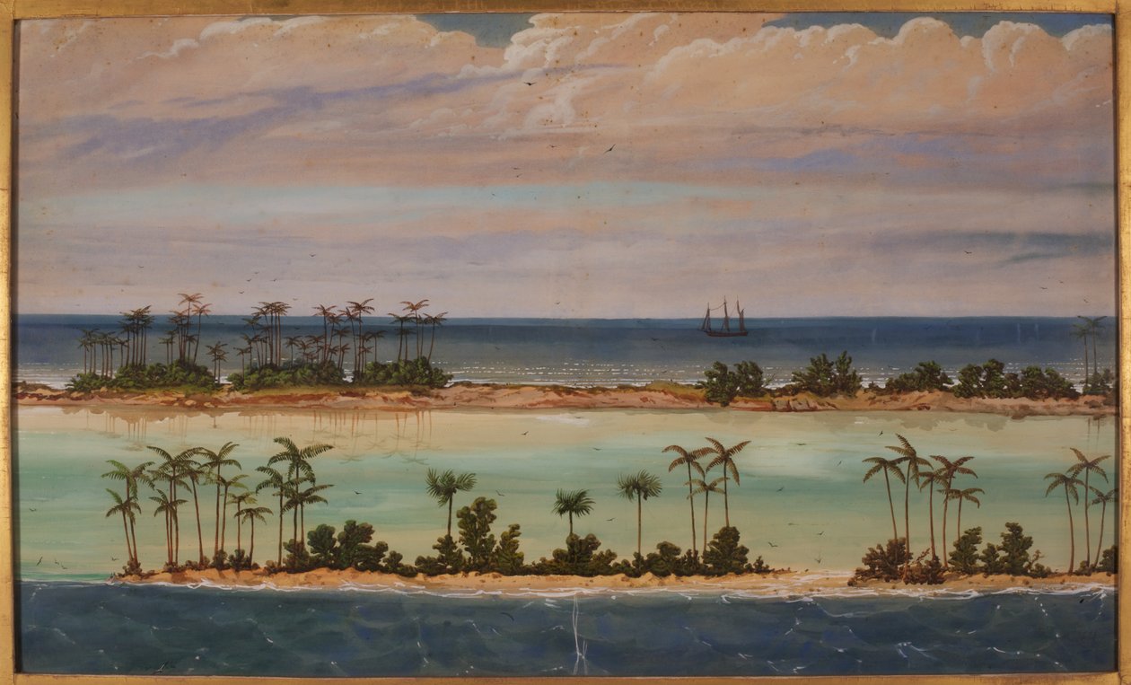 Triptych of an Atoll, 1871 av Ernest Henry Griset