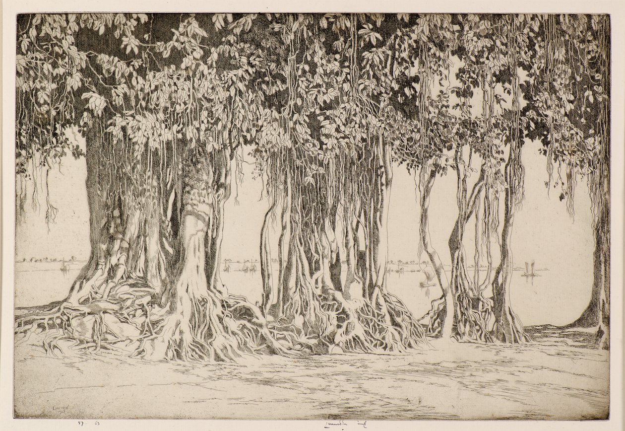 Banyan-treet av Ernest Stephen Lumsden