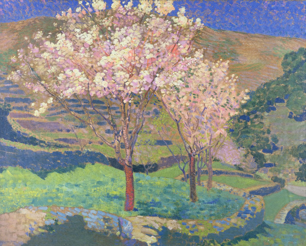 Trær i blomst med terrasser av Ernest Yarrow Jones