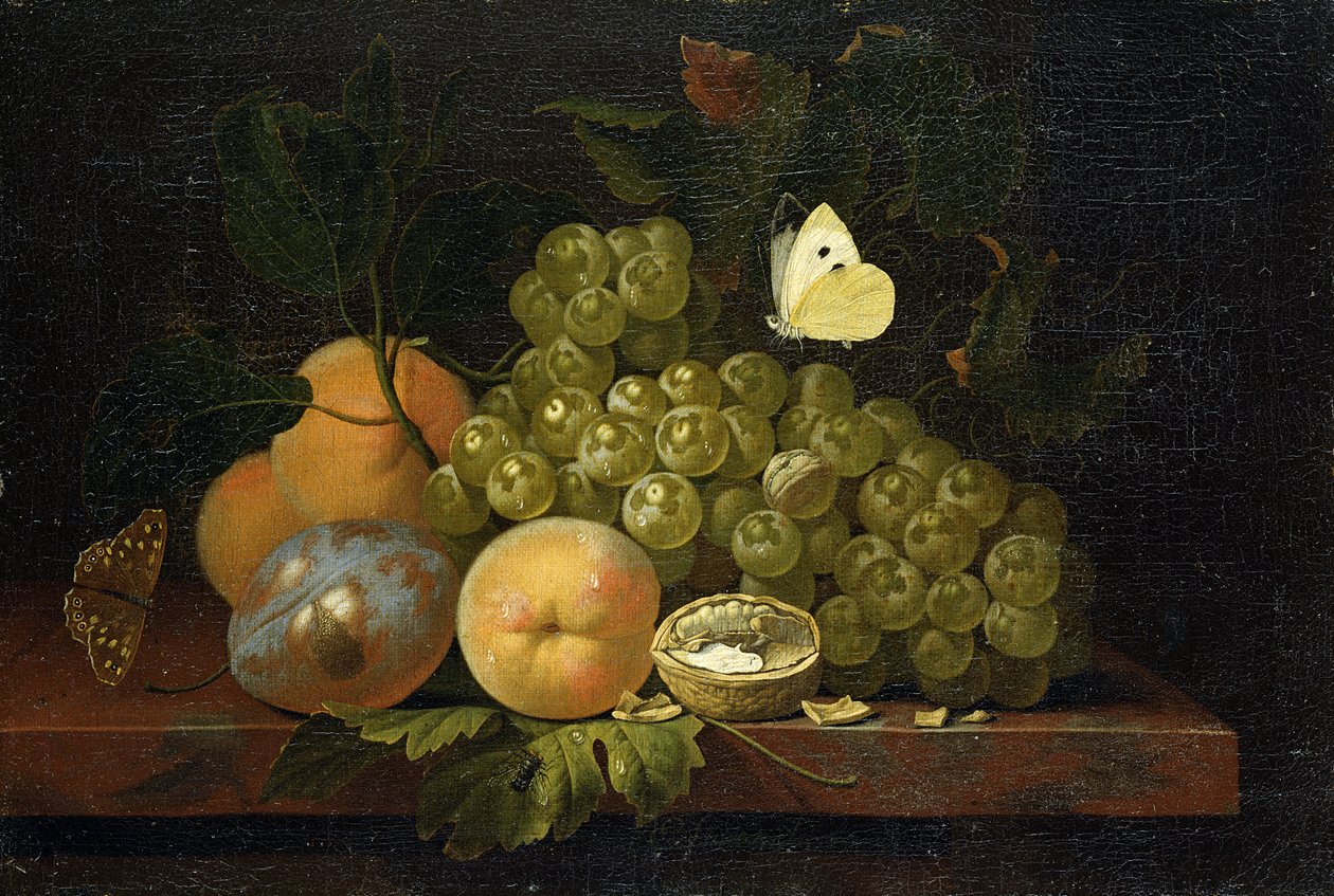 Fruktstudie av Ernst Stuven