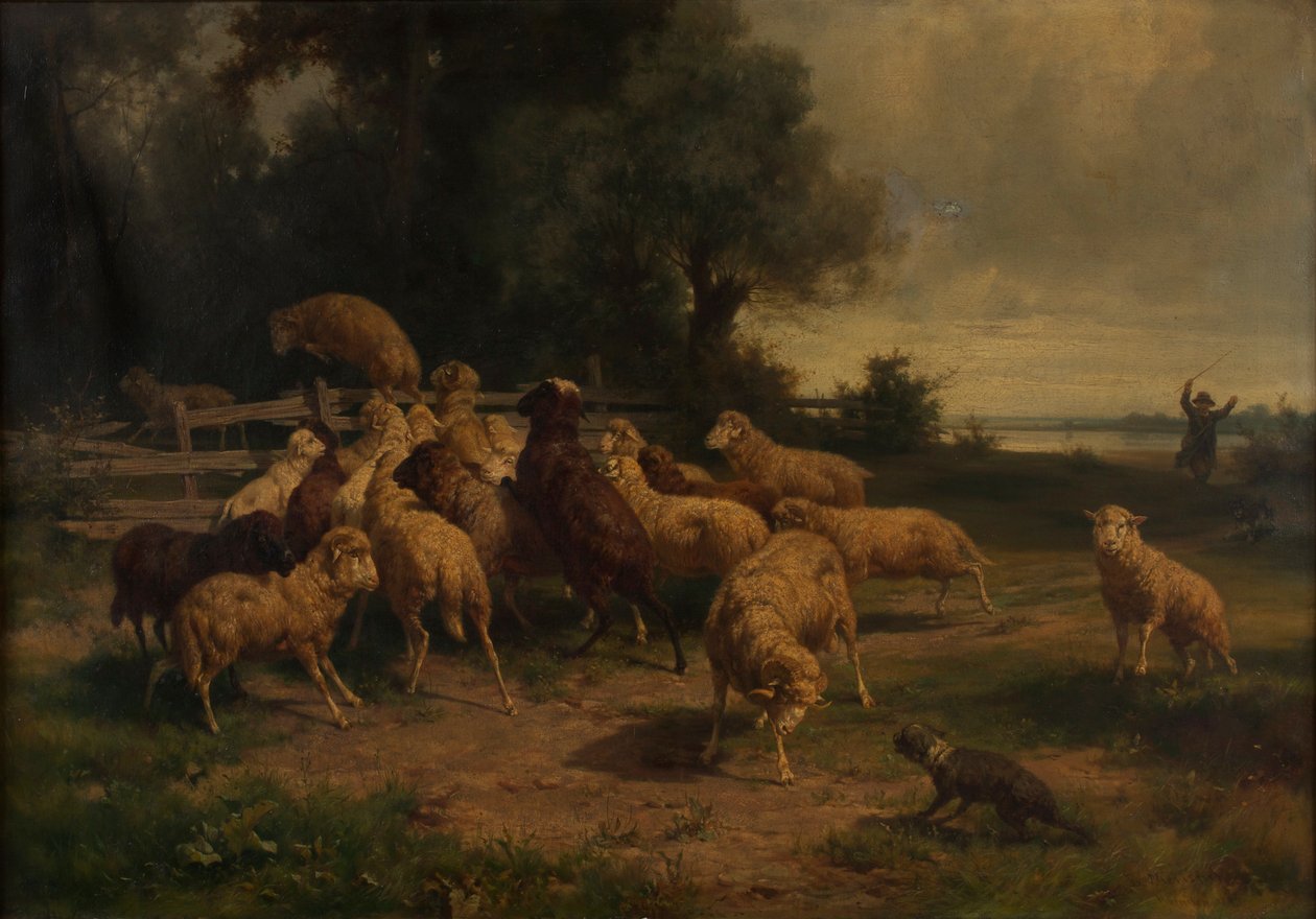 sau av Ernst Adolph Meissner