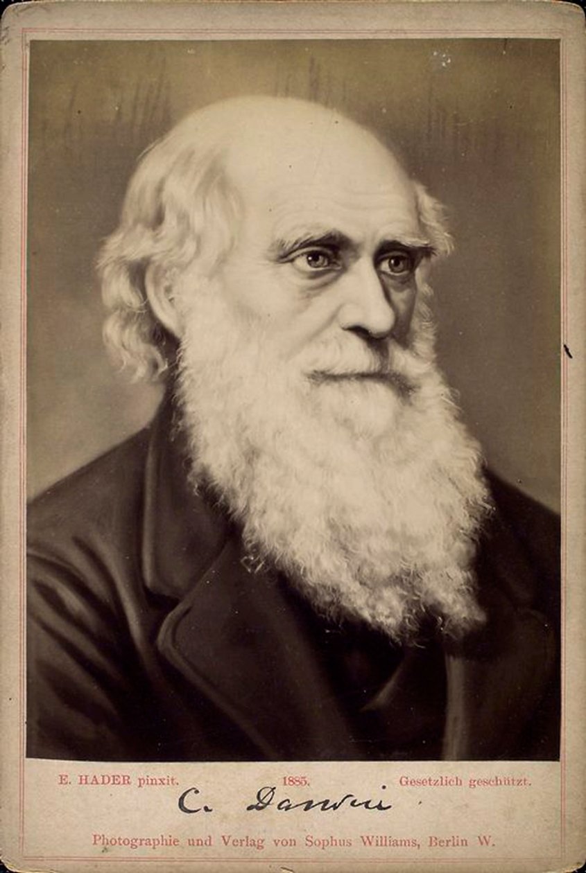 Charles Darwin , britisk naturforsker, c1860-c1870s av Ernst Hader