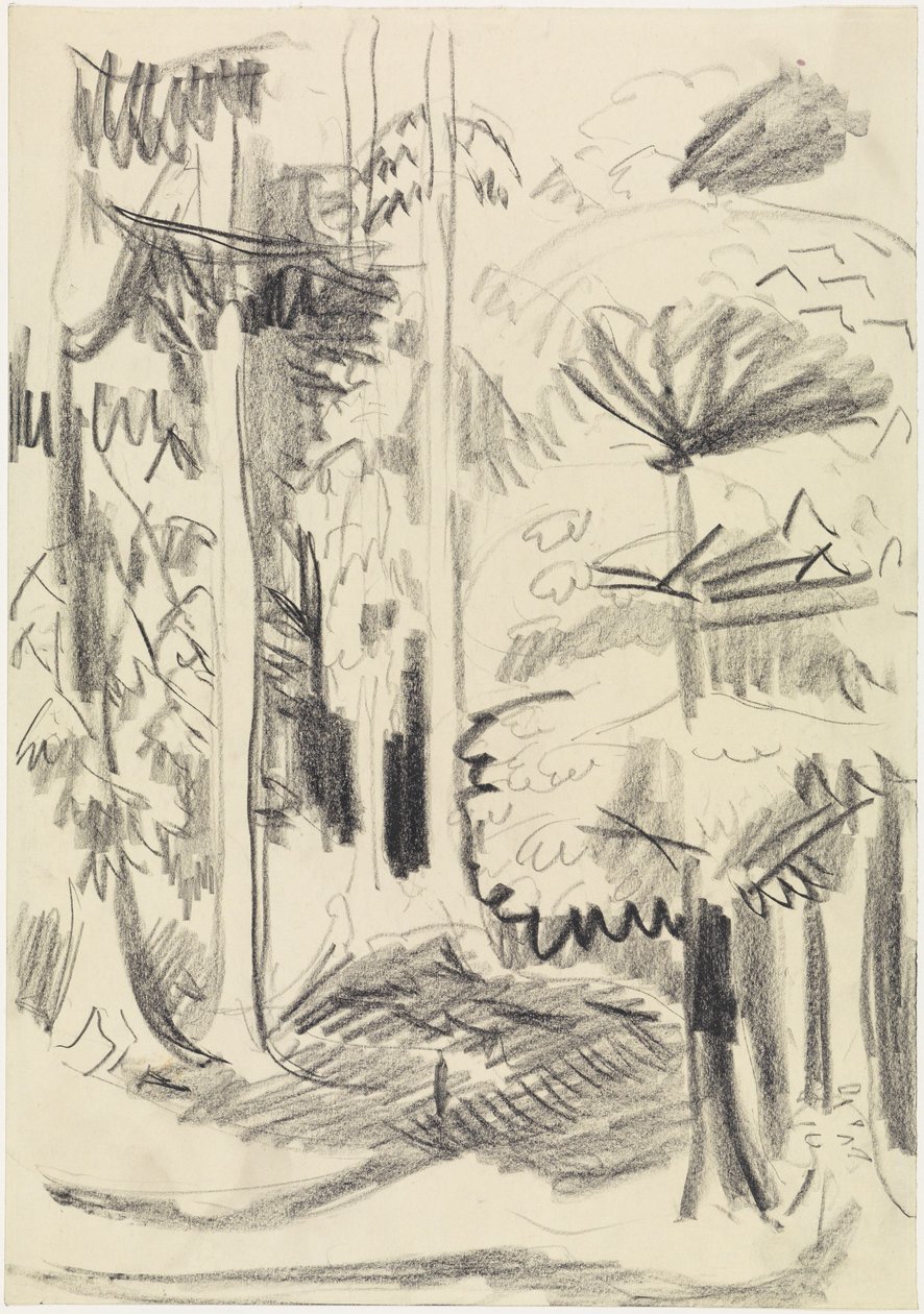 Blandingsskog av Ernst Ludwig Kirchner