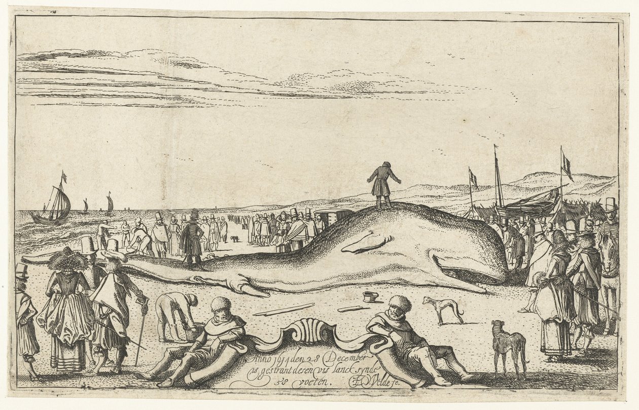 Strandet hval på stranden ved Noordwijk, 1614 av Esaias van de Velde