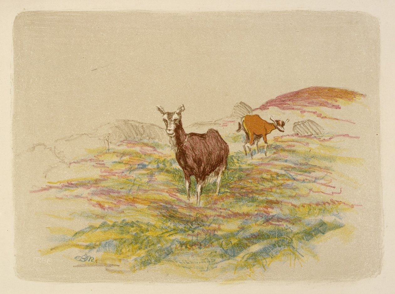 av Esther Blaikie MacKinnon