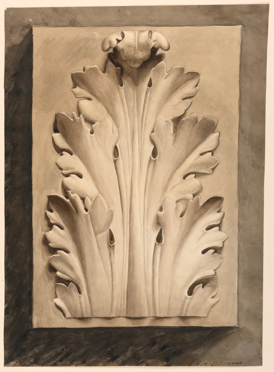 Tegning, Acanthus blad: fra en støpt av Esther Silver