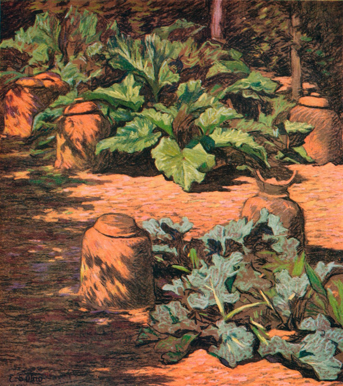 Rabarbra og Seakale, c1927 av Esther Sutro
