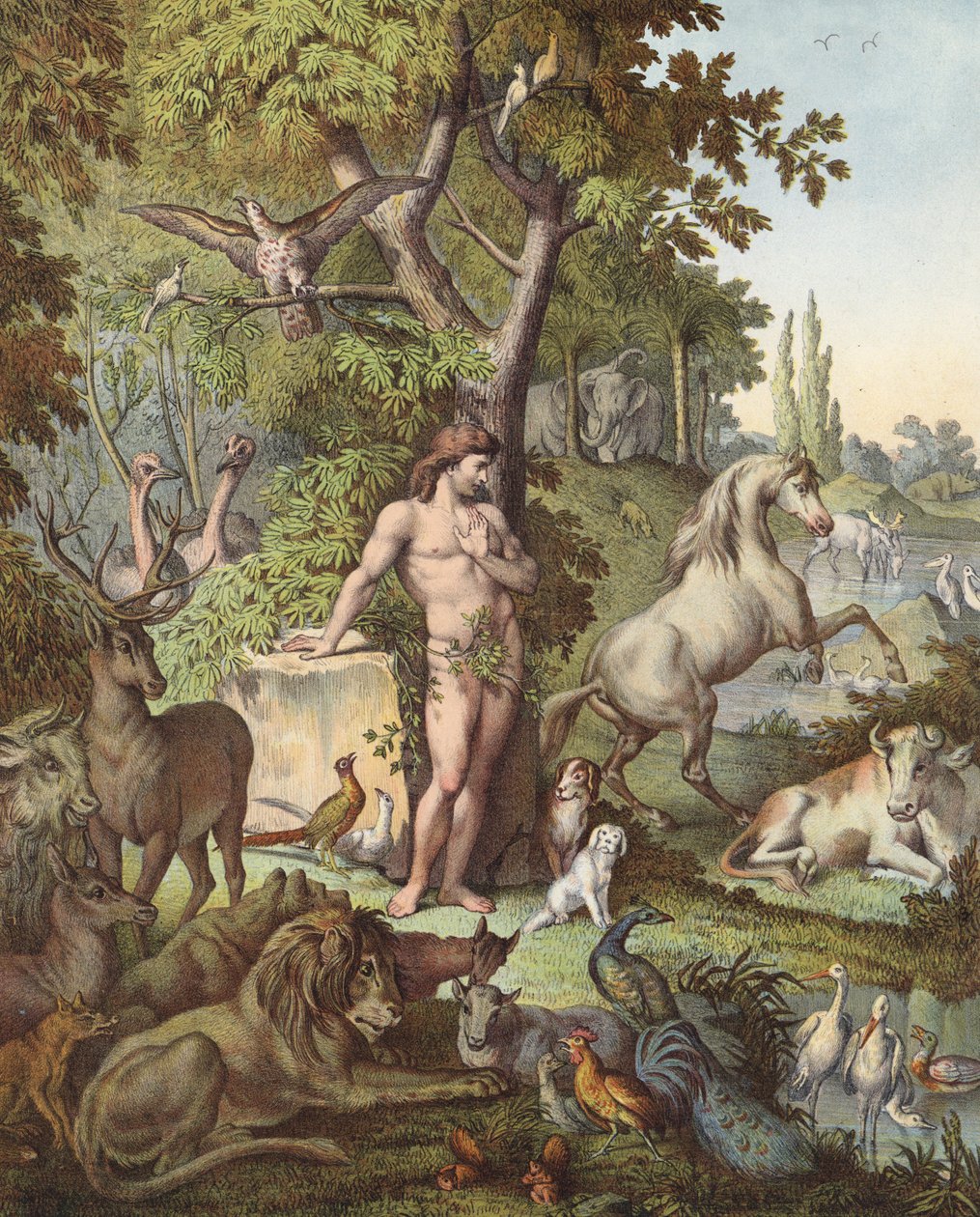 Adam i Edens hage (fargelitografi) av Etienne Antoine Eugene Ronjat