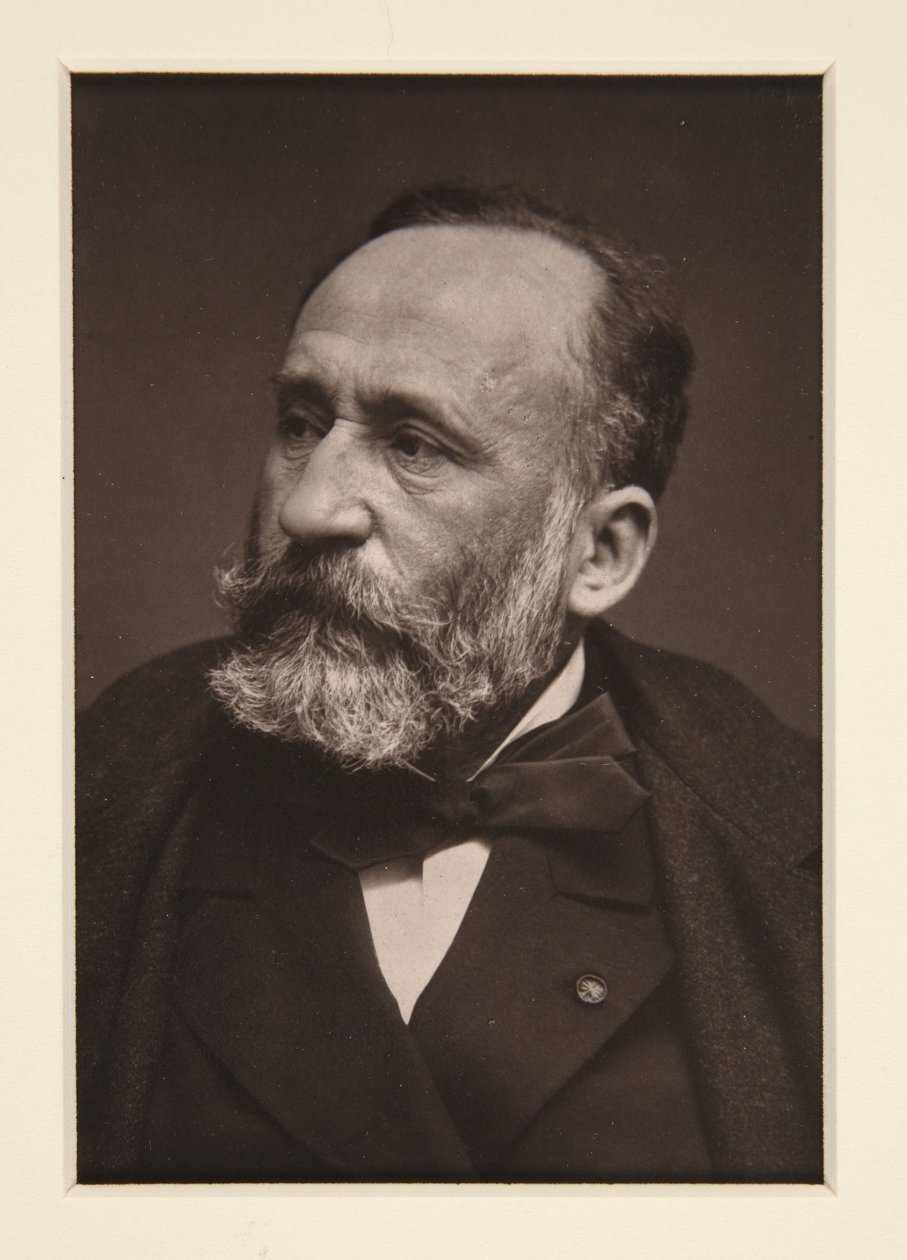 Portrett av Pierre Puvis de Chavannes (1824-1898) av Etienne Carjat