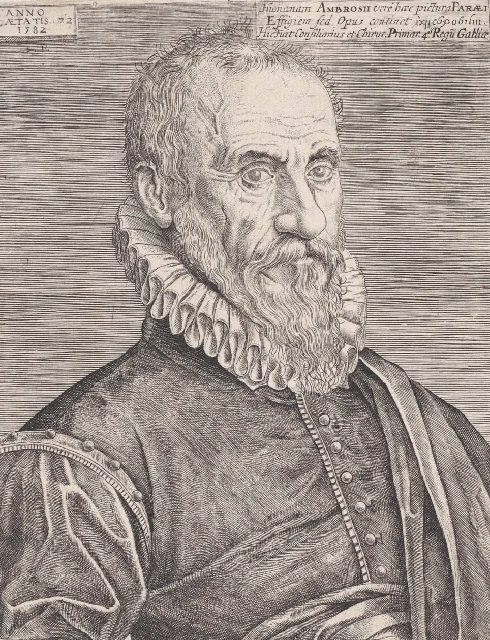 Portrett av Ambroise Paré, kongens kirurg, 1582. av Etienne Delaune