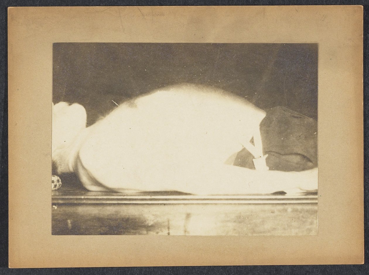 Marey i en studie av respirasjon av Etienne Jules Marey