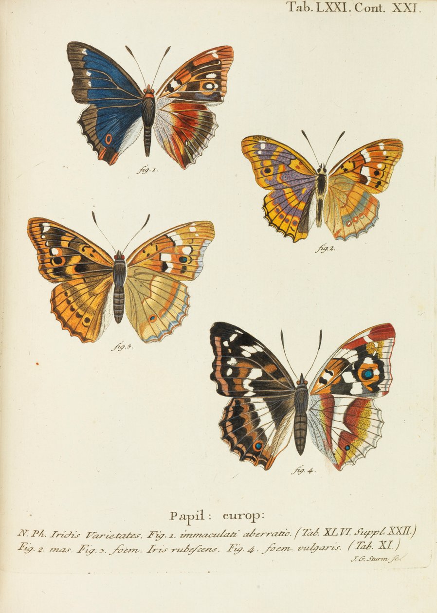 Sommerfuglene Sommerfuglene, 1777-1794. av Eugen Johann Christoph Esper