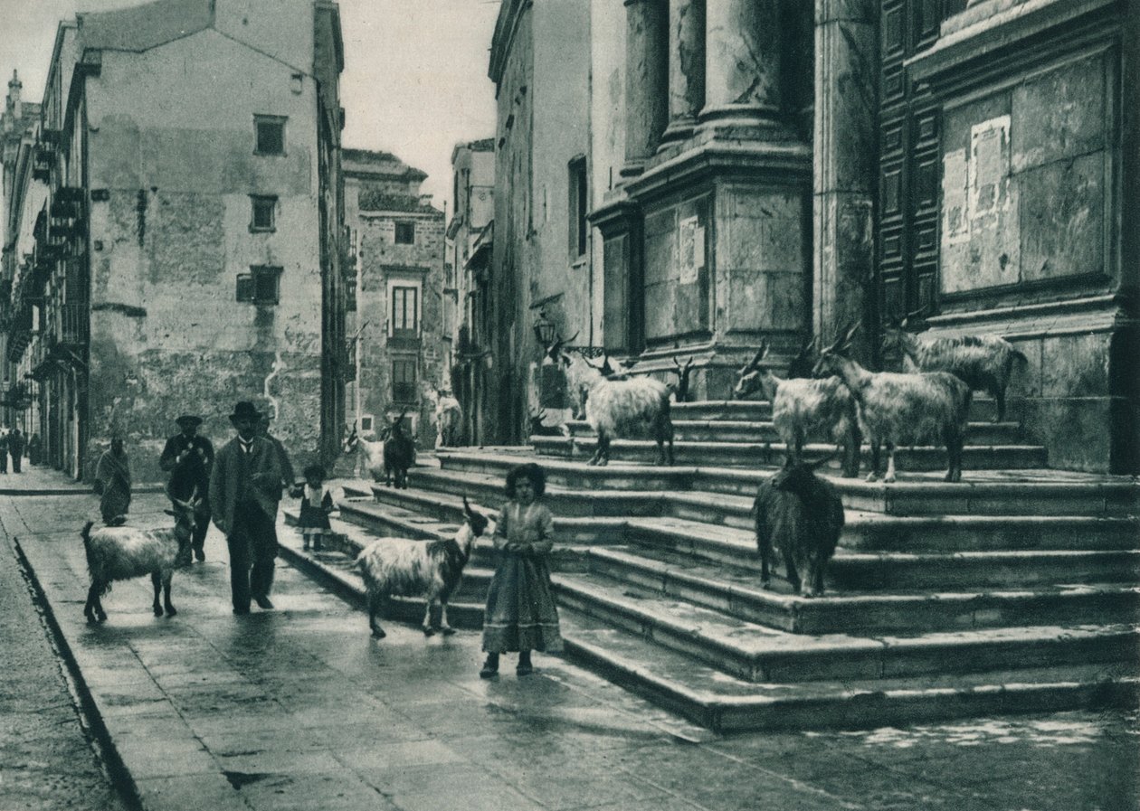 Geiter på trappen til katedralen, Palermo, Sicilia, Italia, 1927 av Eugen Poppel