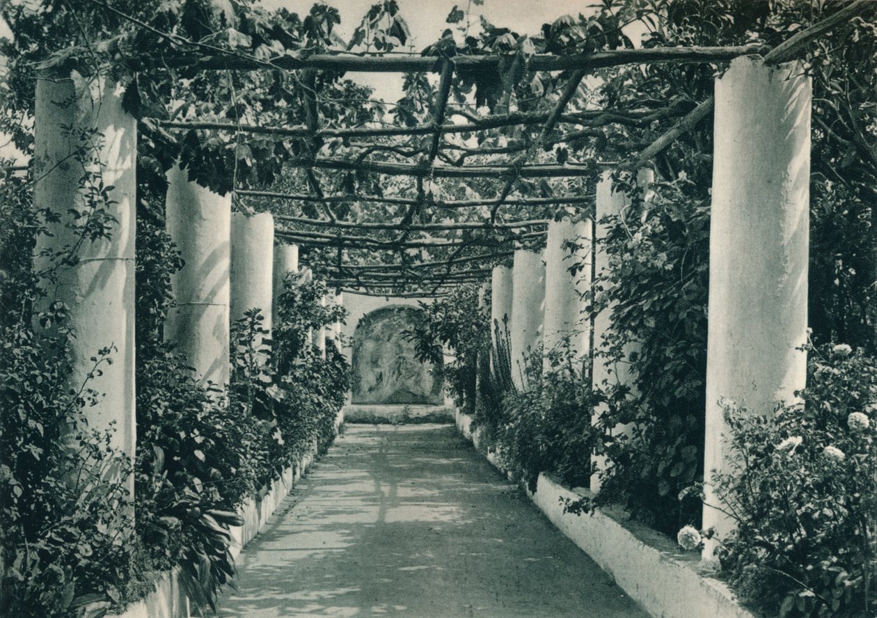 Pergola i en vingård, Capri, Italia, 1927 av Eugen Poppel