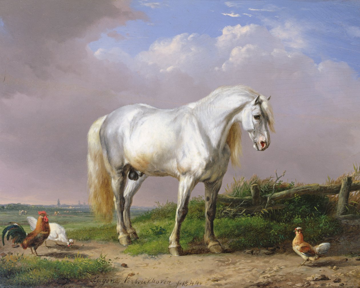 Grå hingst av Eugene Joseph Verboeckhoven
