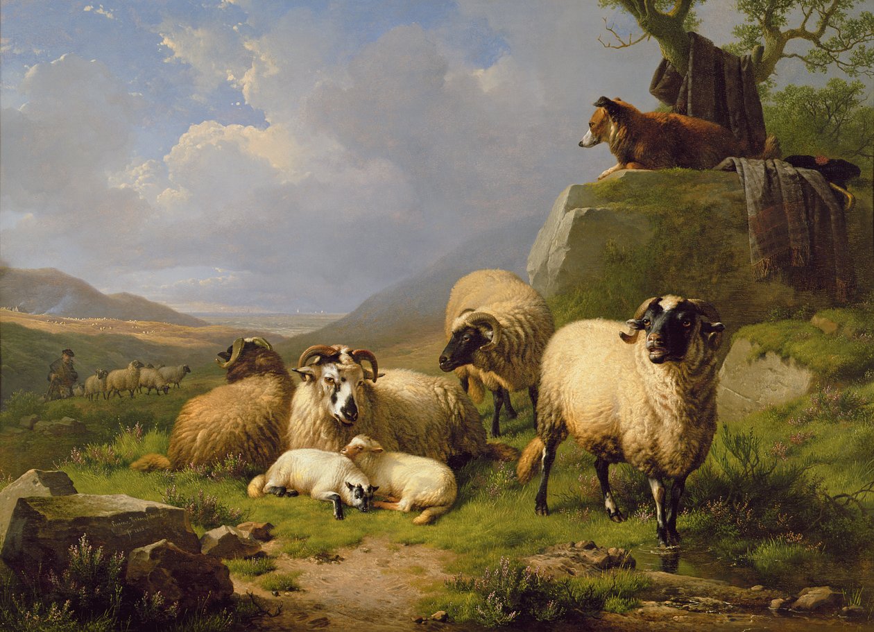 Sauer i et landskap, 1863 av Eugene Joseph Verboeckhoven