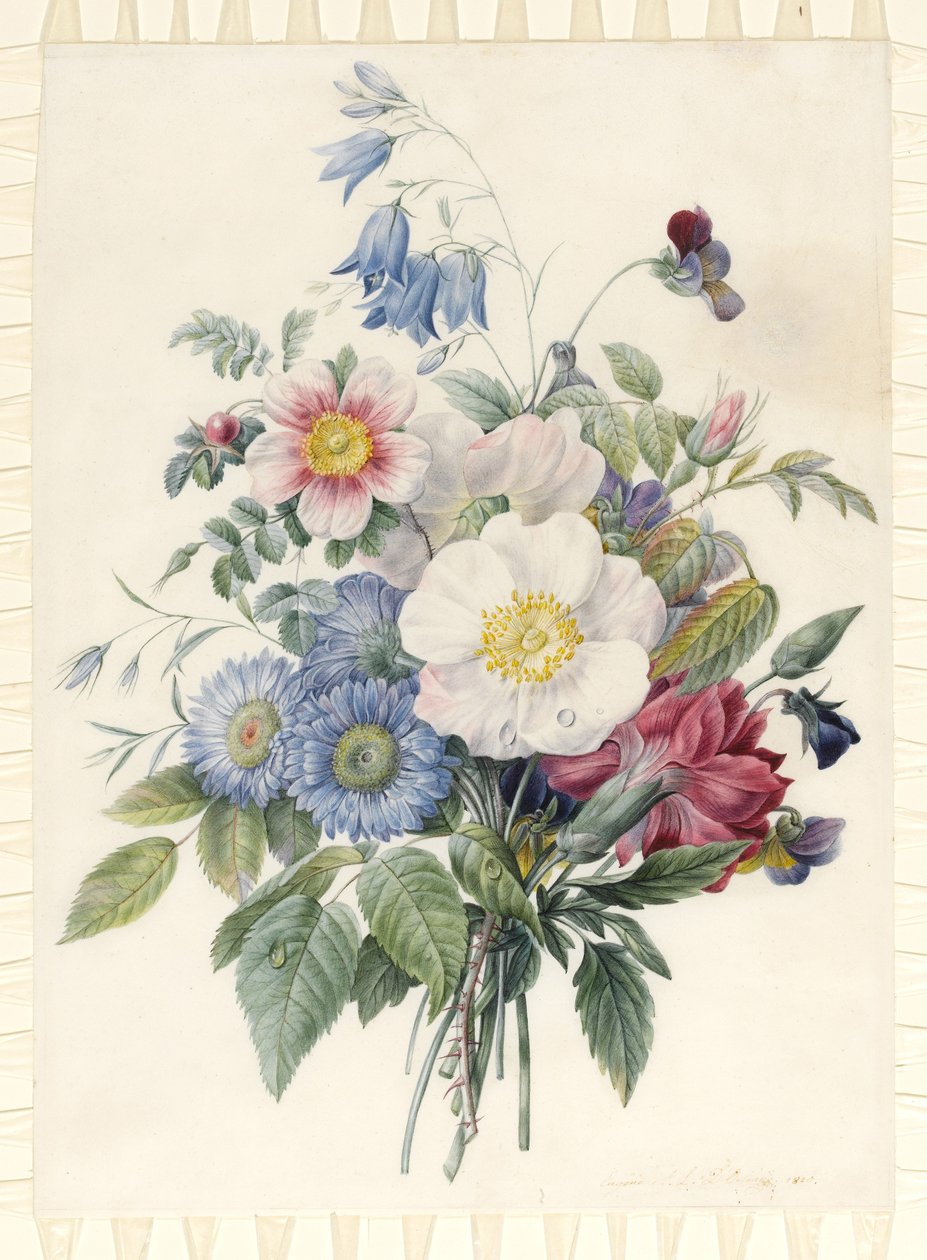 Blue Asters, Rosa Spinosissima Hybrid, Harebell, Violas, Cartnation and a Wild Rose, 1820 (wc & kroppsfarge over grafittkontur på vellum) av Eugene A. L. d Orleans