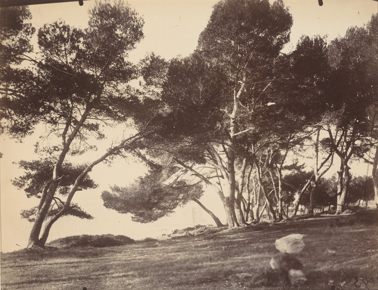  av Eugène Atget