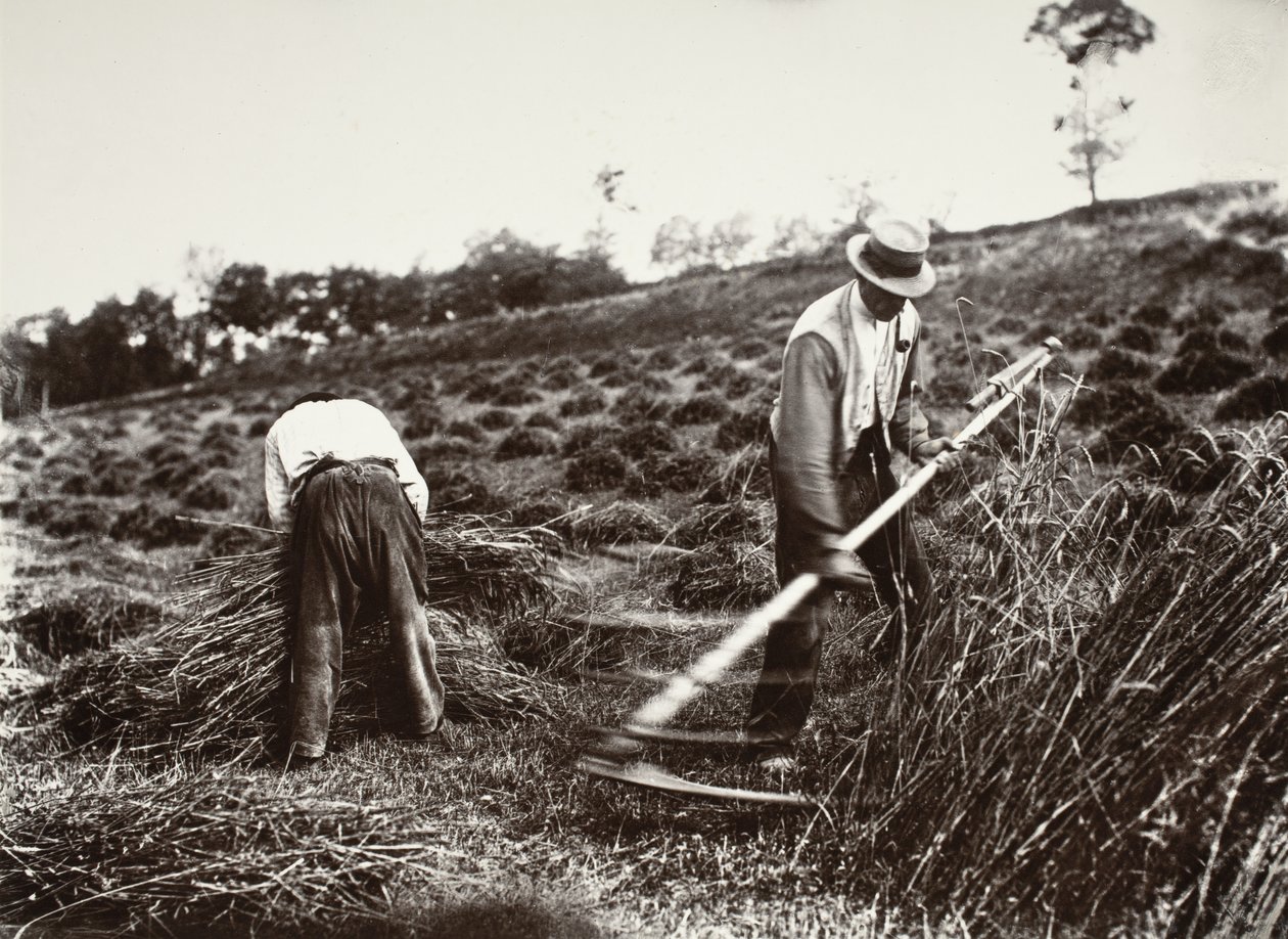 Slåttekarer, Somme av Eugène Atget