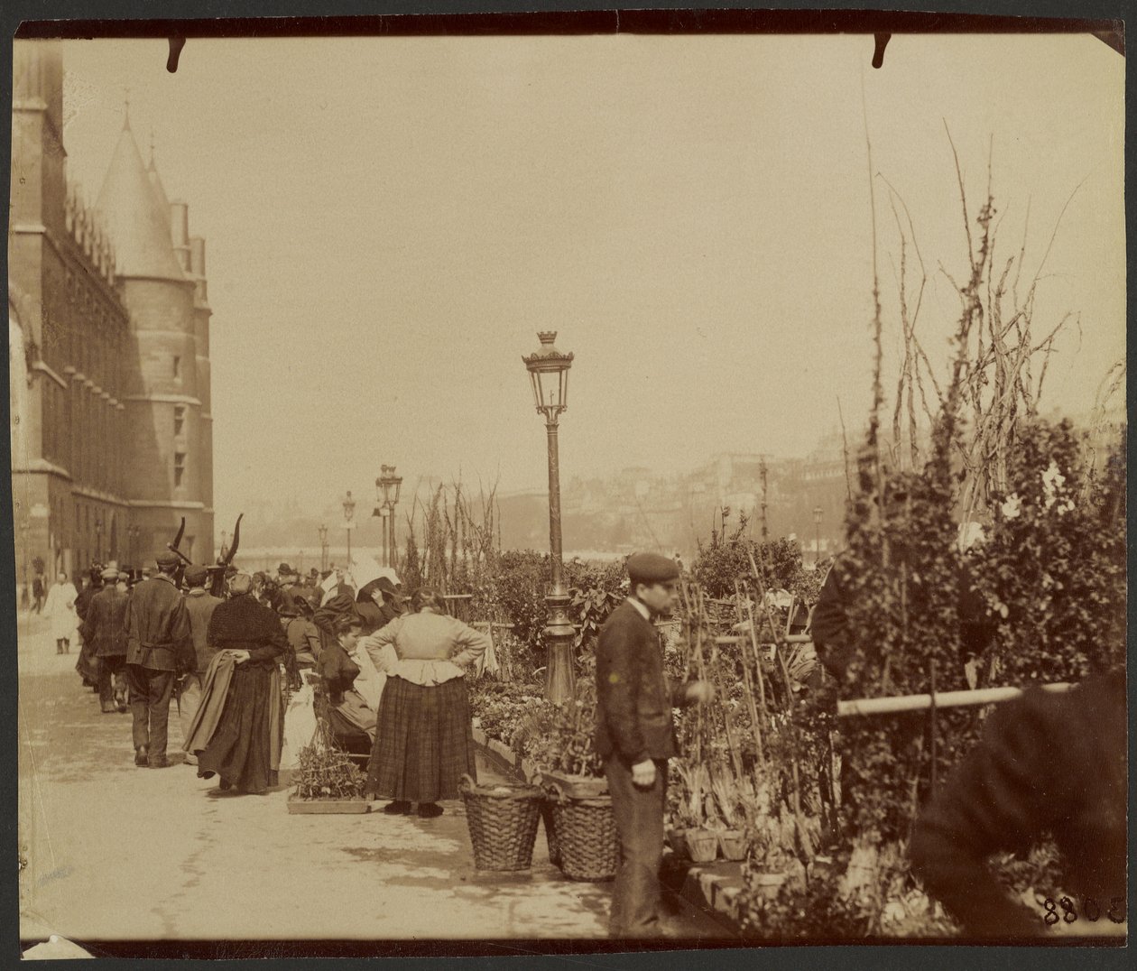 [Blomstermarkedet] av Eugène Atget