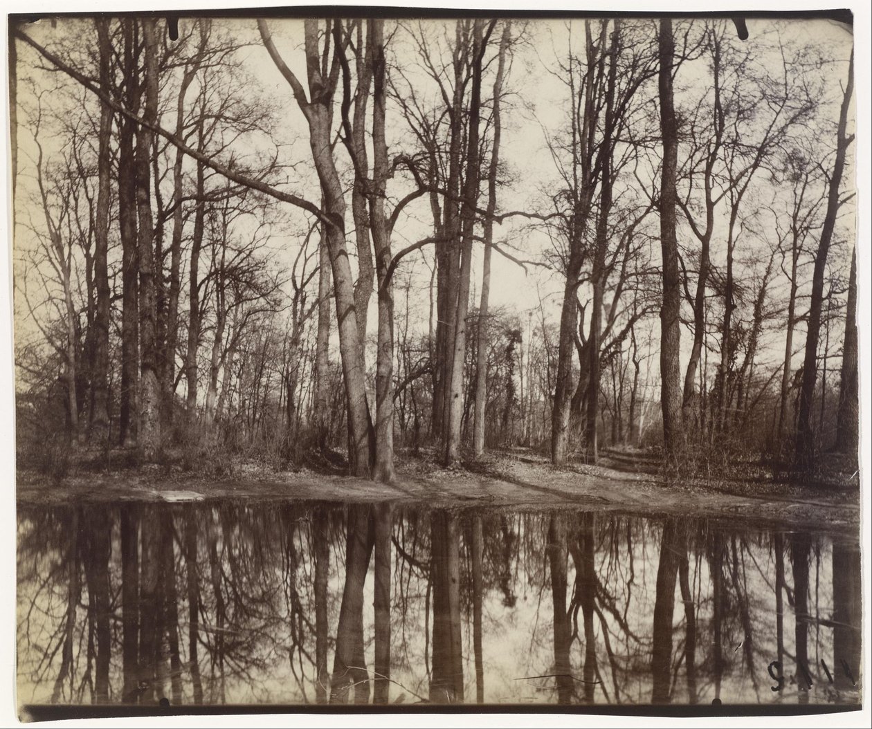 Saint-Cloud, hagene ved slottet til Philippe, hertug av Orléans av Eugène Atget
