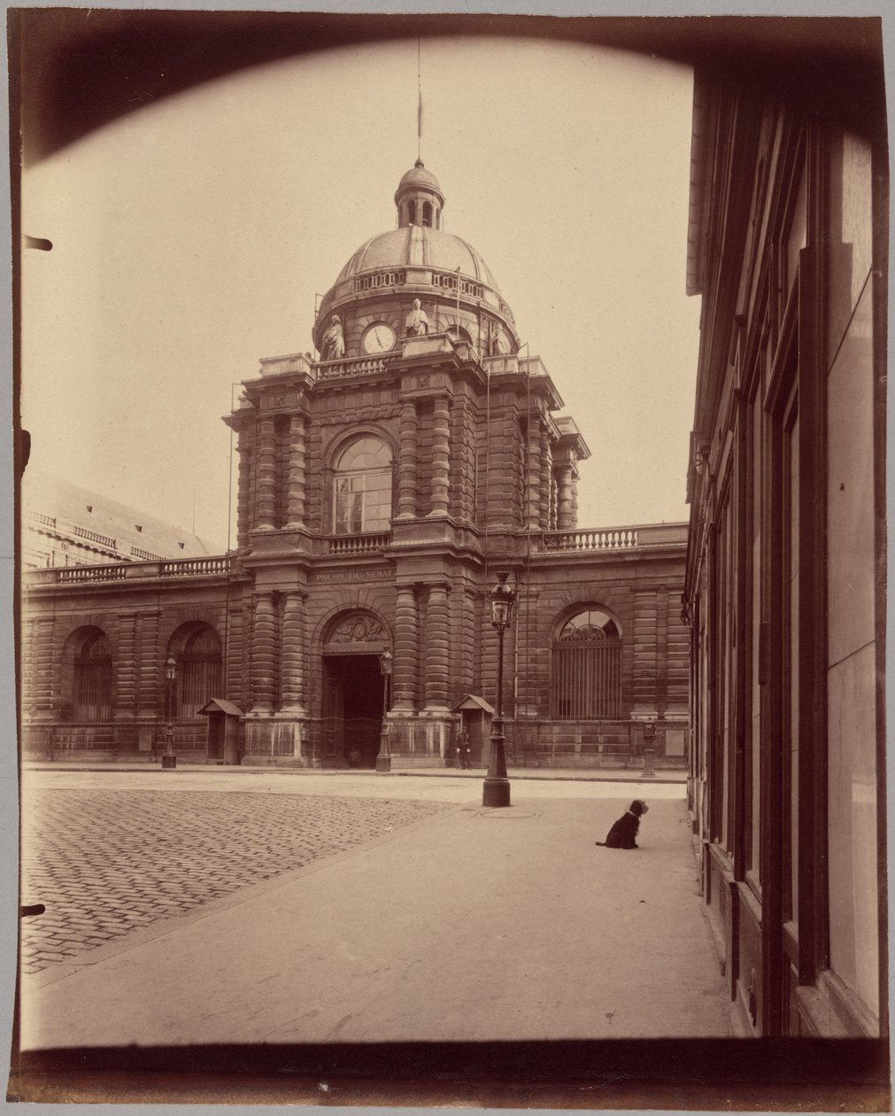[Senatet, Luxembourg-palasset] av Eugène Atget