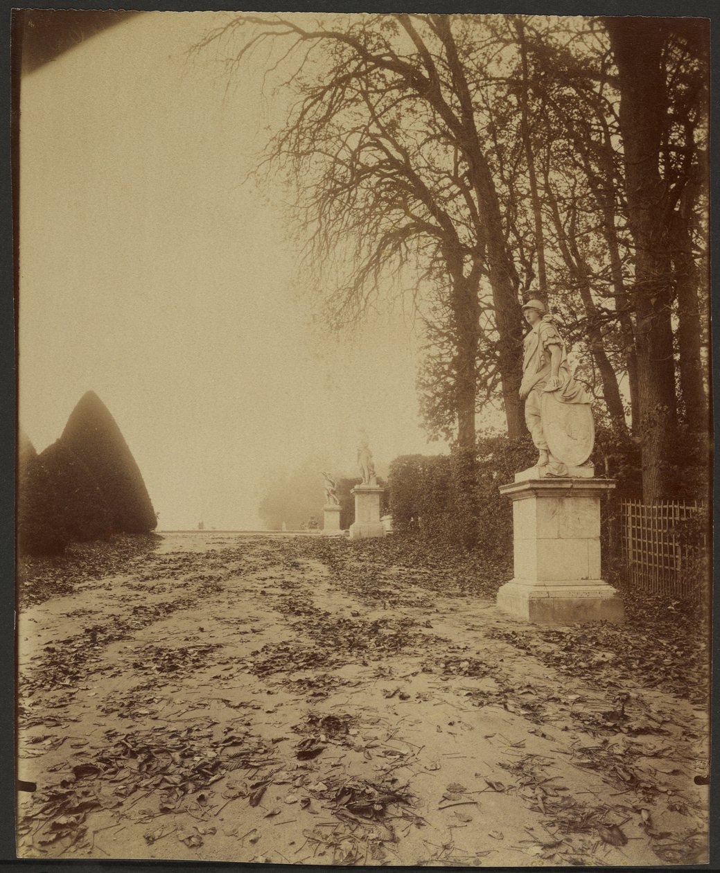 Versailles, parken (allé i parken i Versailles) av Eugène Atget