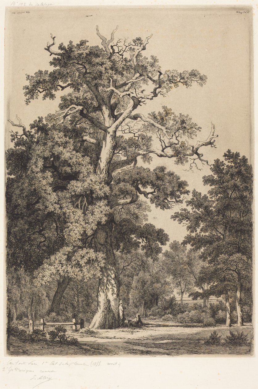 Gammel eik i Bois de Boulogne av Eugene Bléry