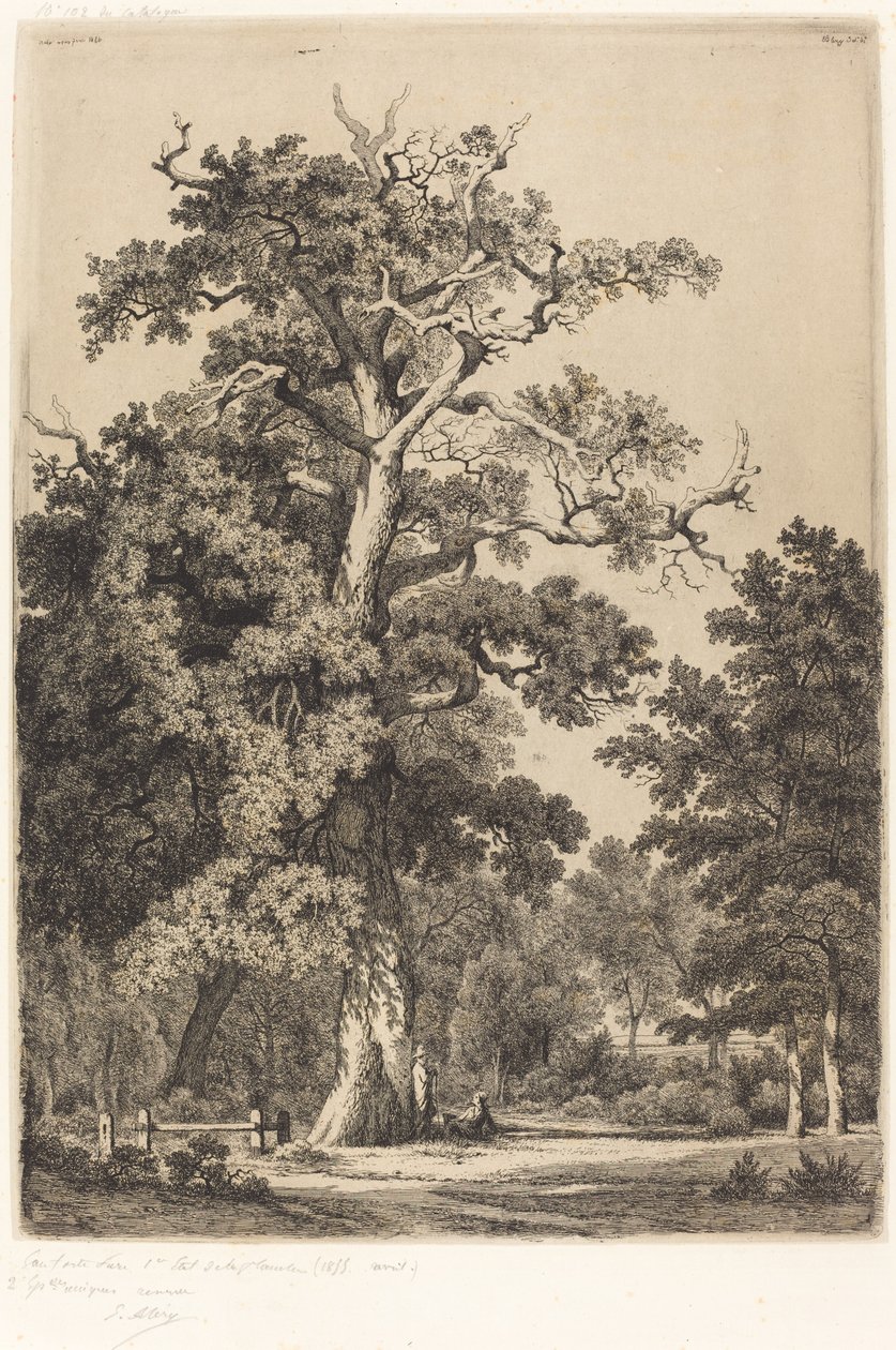 Gammel eik i Bois de Boulogne av Eugene Bléry